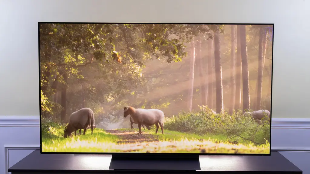 Best 55 inch oled tv