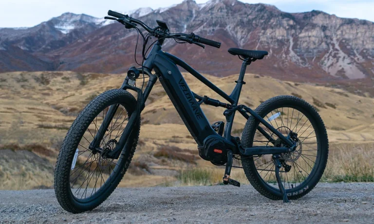 10 Best Adult Electric Bicycle (2026)