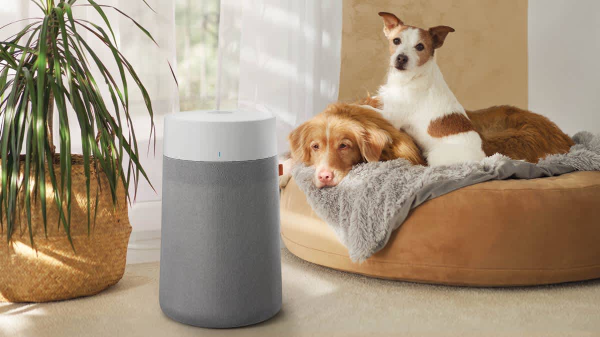 Best air purifier