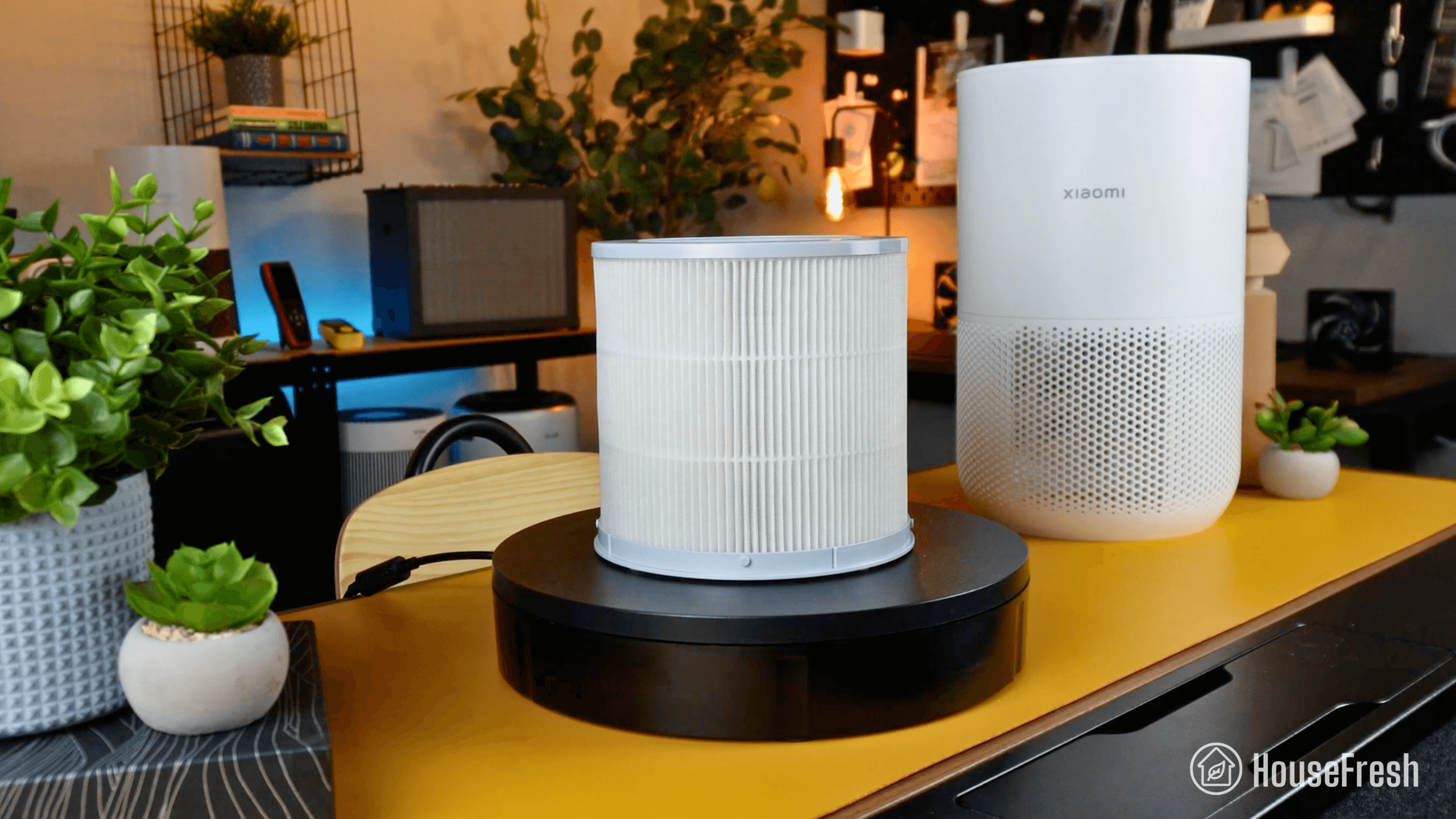 How to Choose the Best Air Purifier for Dust