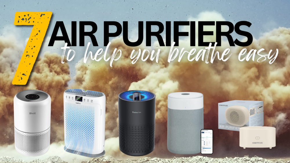 Best air purifier for dust