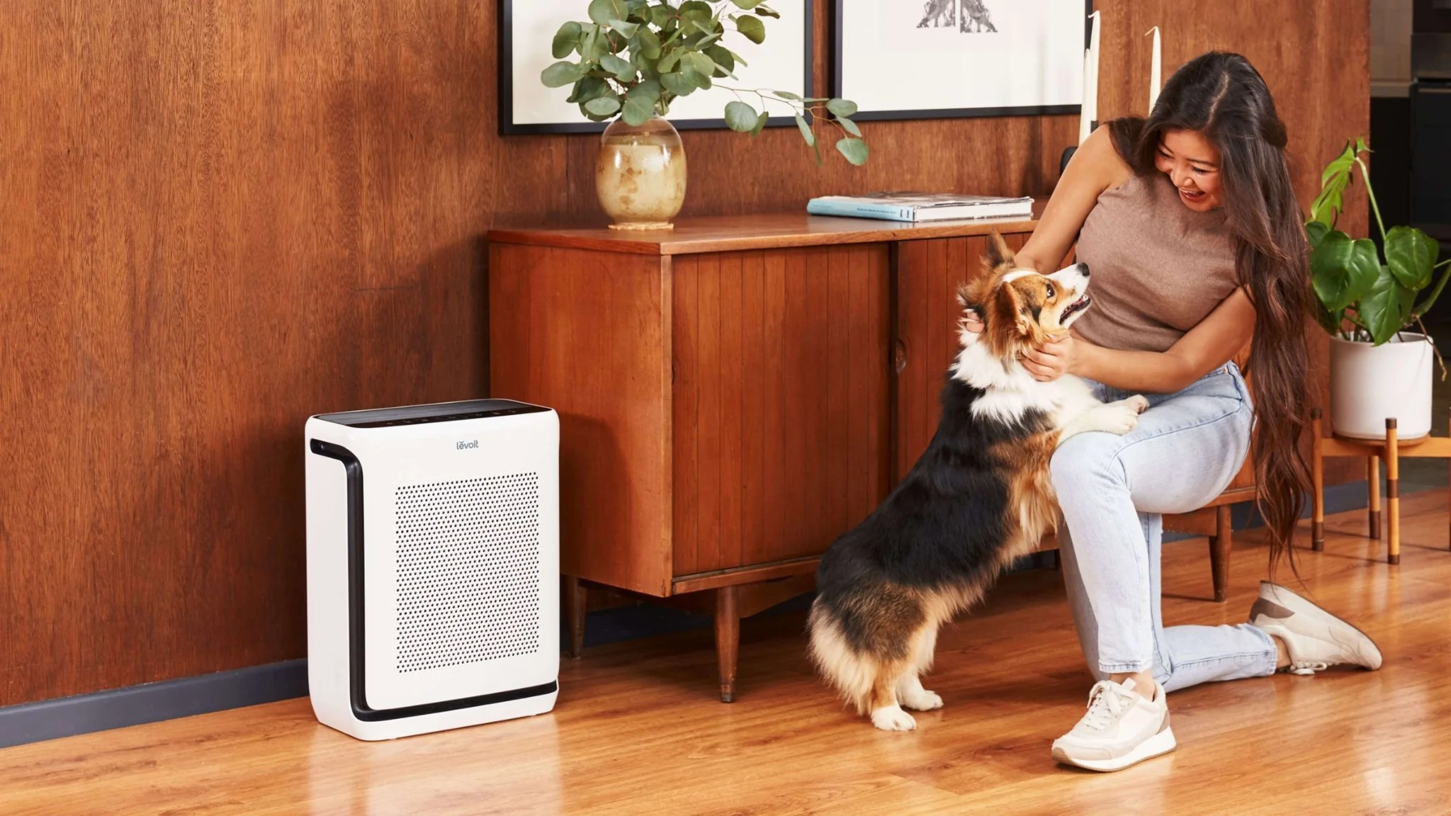 Best air purifier