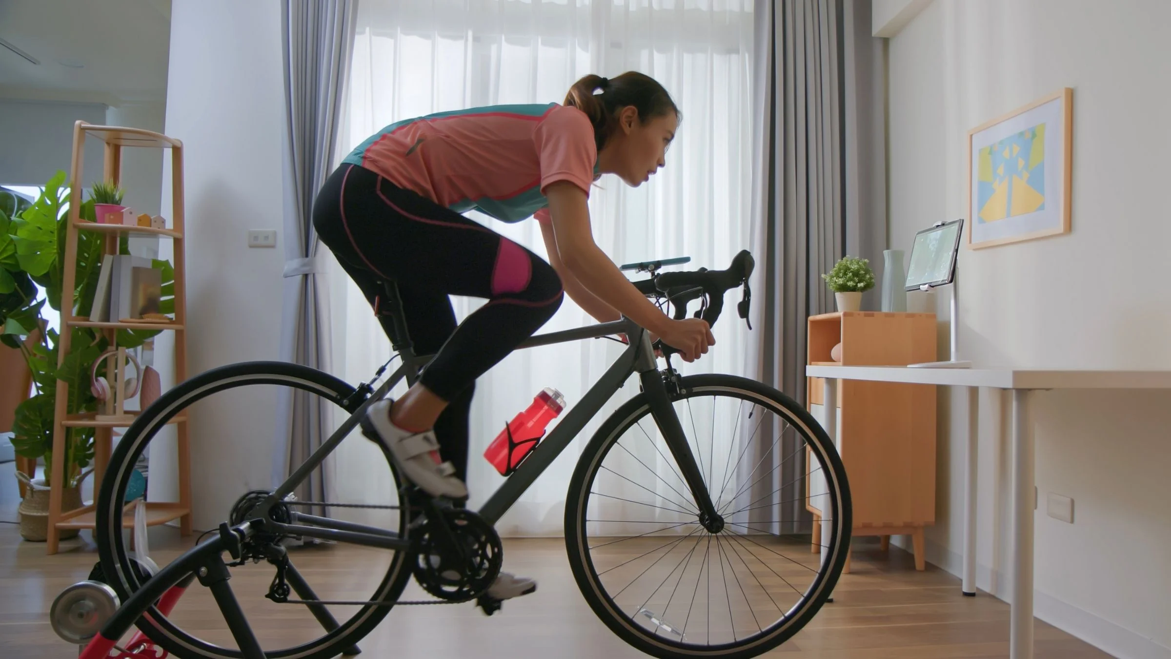 Best bike trainers