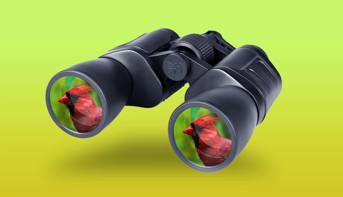 How to choose binoculars for bird watching