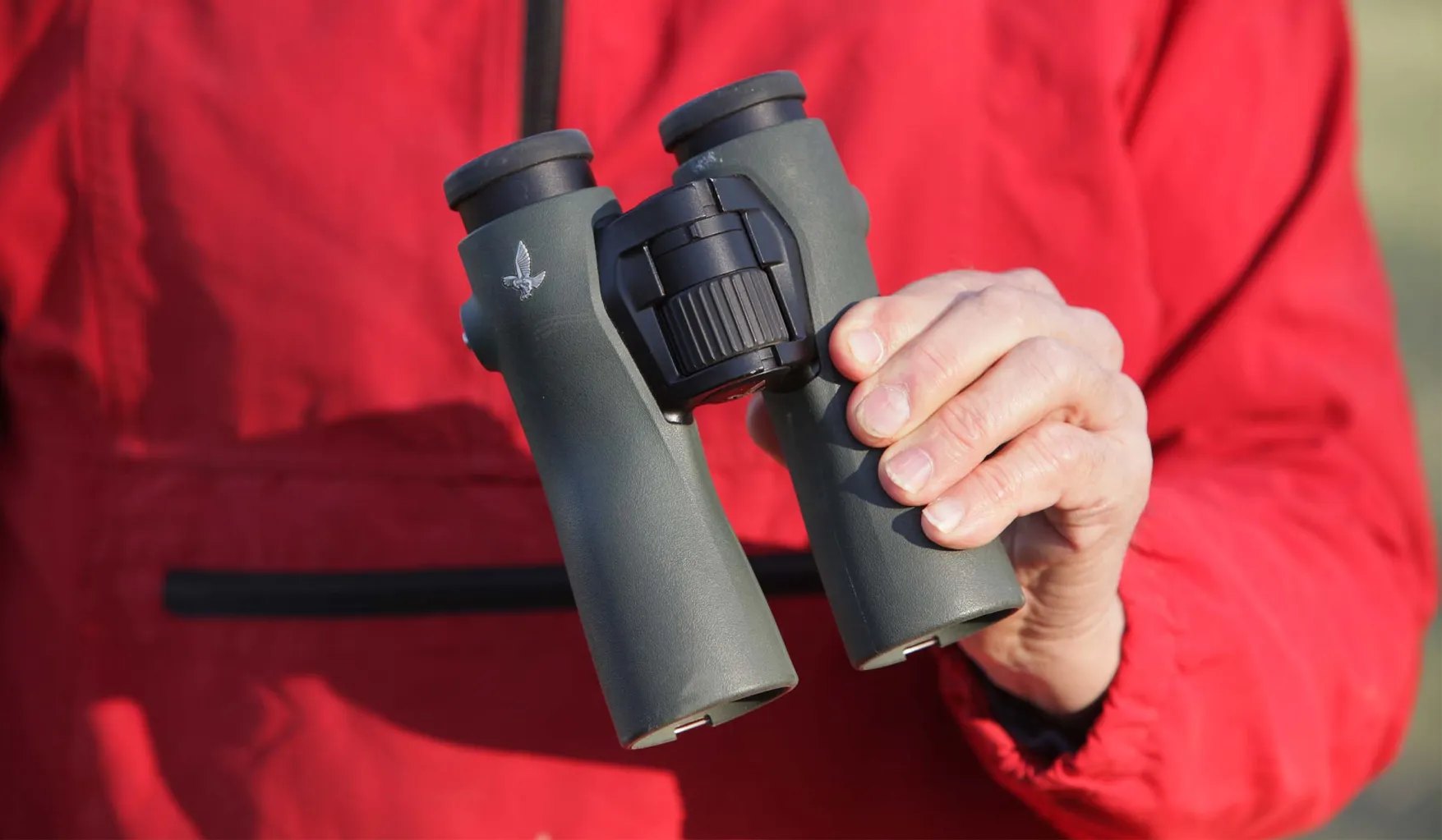 Best binoculars for bird watching