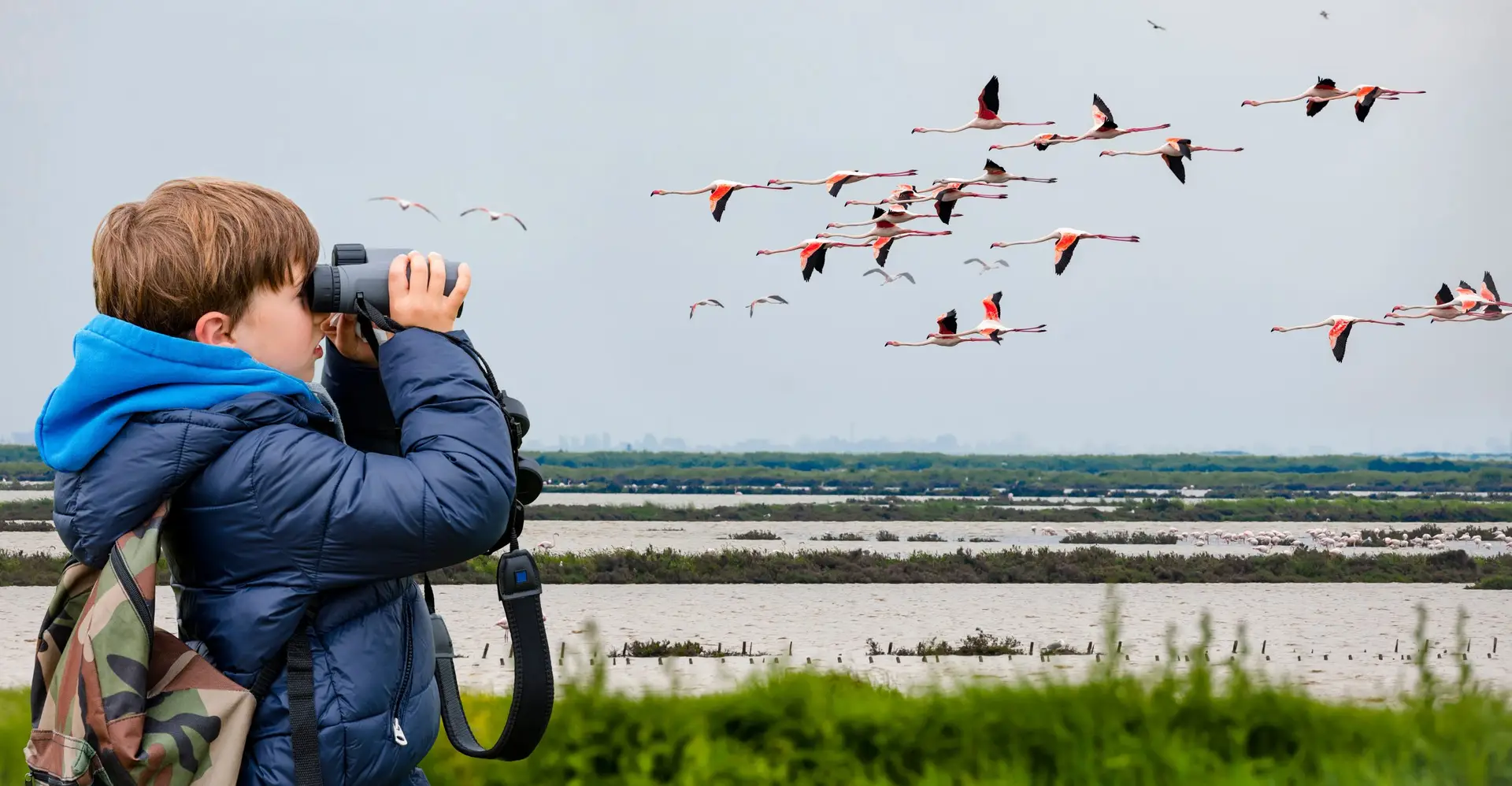 Best binoculars for bird watching