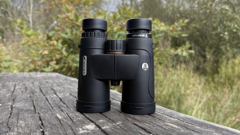 10 Best Binoculars for Bird Watching (2026)