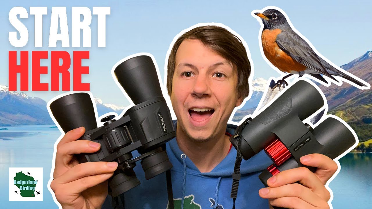 How to choose best binoculars for birding