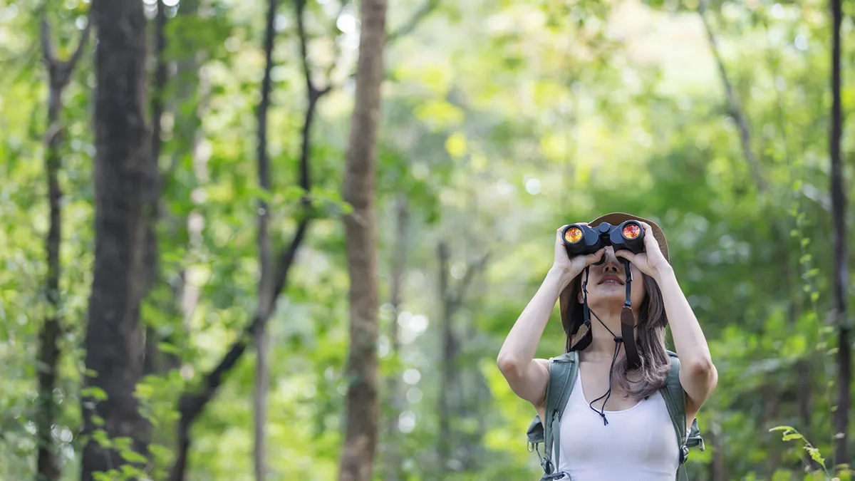 Best binoculars for birdwatching