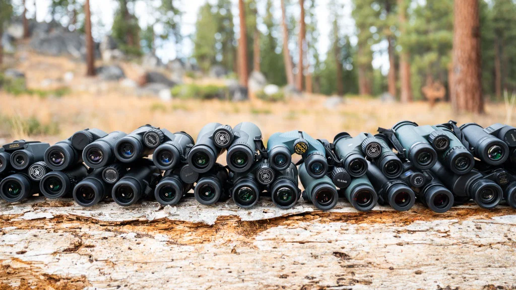Best binoculars for birdwatching