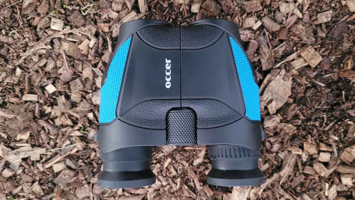 Best binoculars for the money