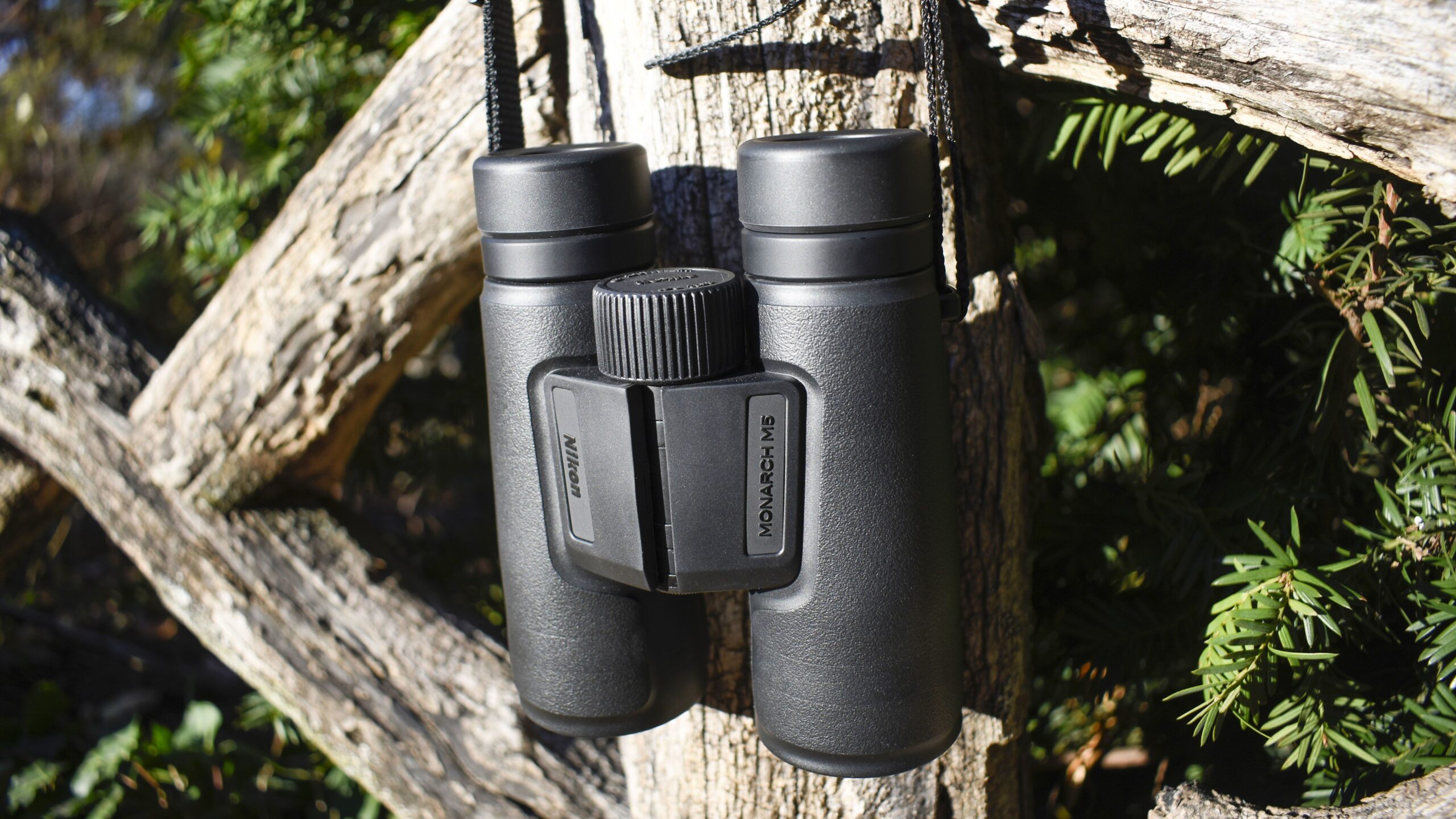 Best binoculars for the money