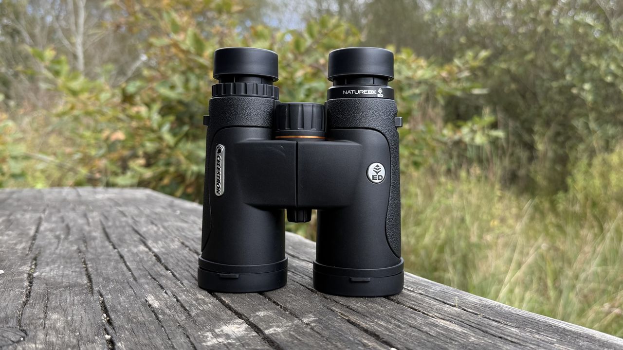 Best binoculars for wildlife viewing