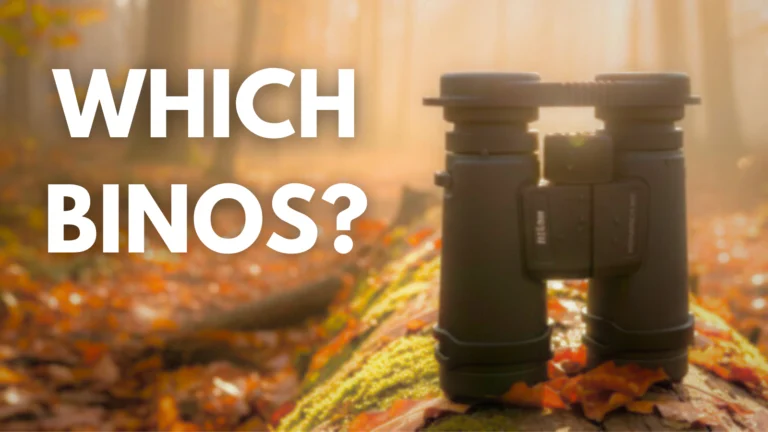 10 Best Binoculars for Wildlife Viewing (2026)