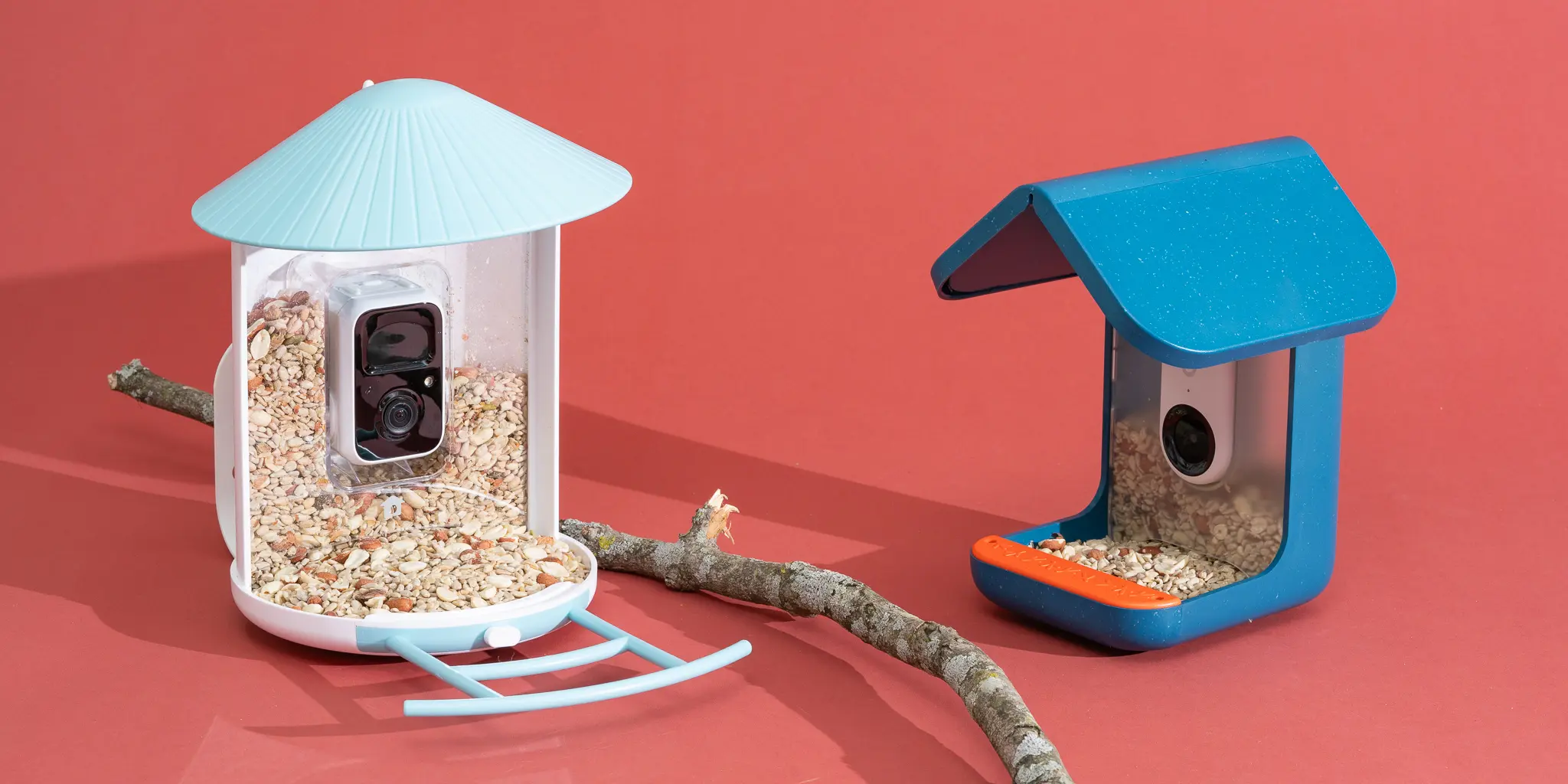 Best bird feeder camera