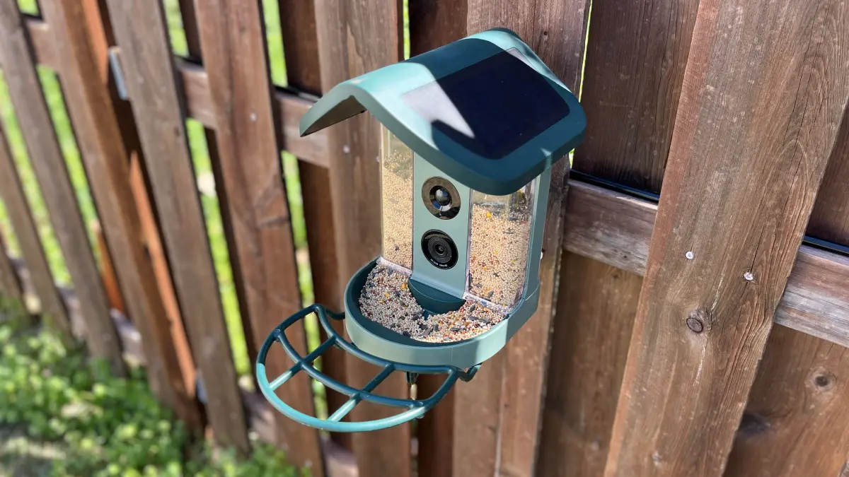 Best bird feeder camera