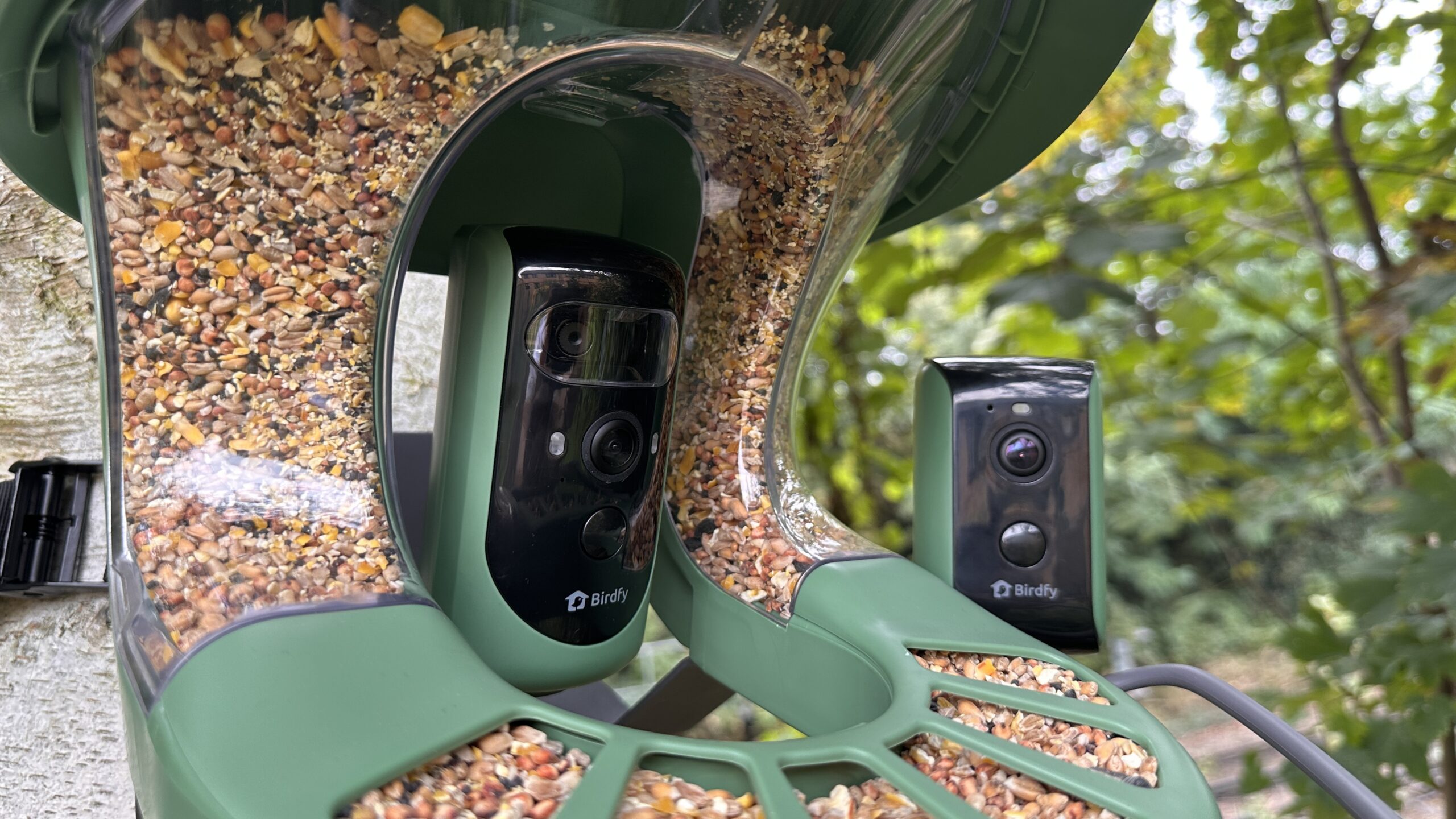 How to choose a bird feeder with camera