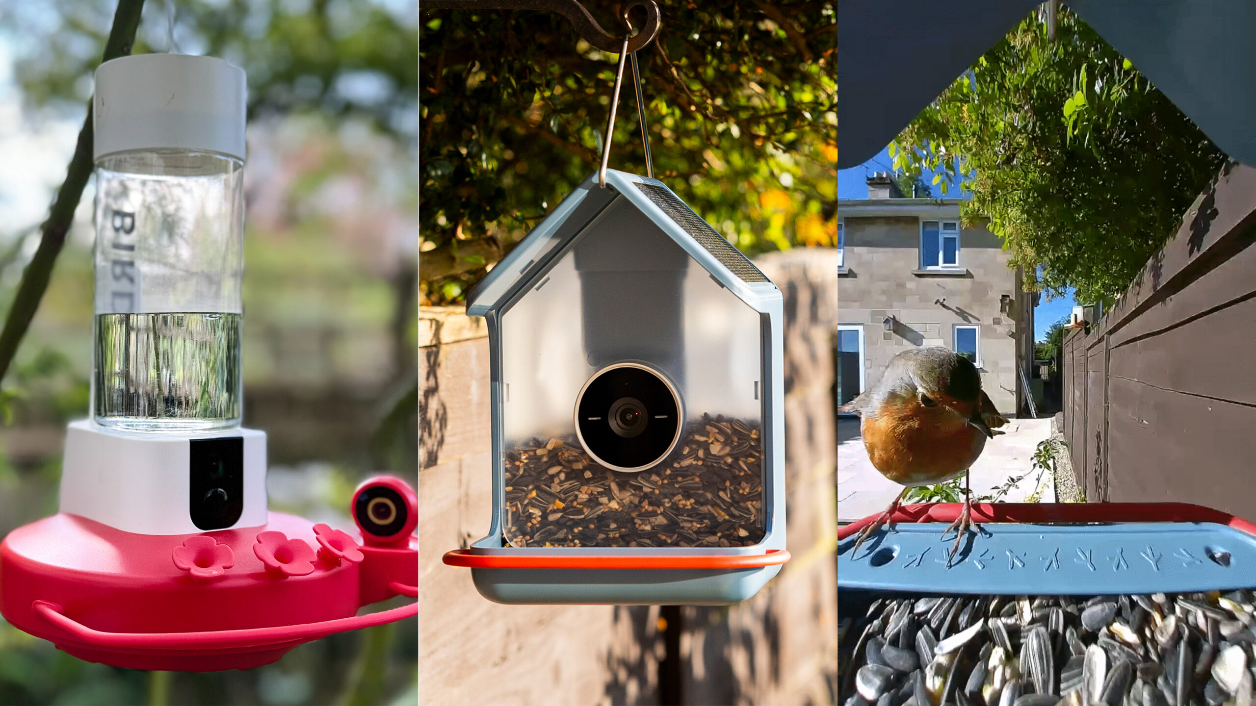 Best bird feeder with camera