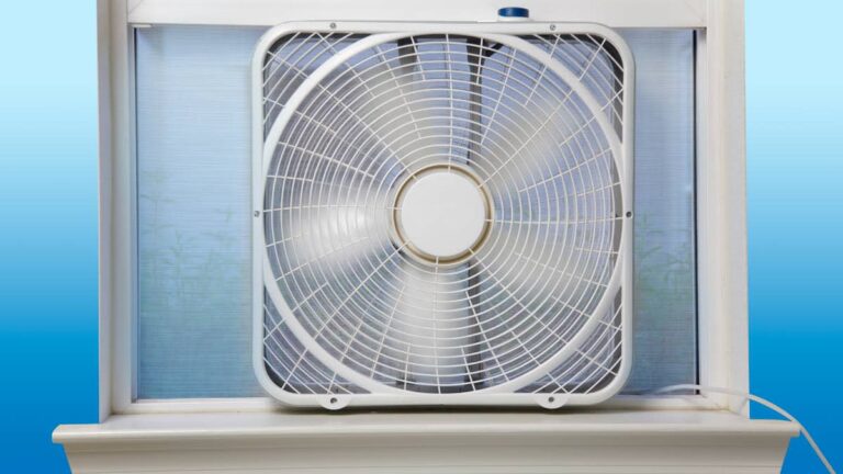 10 Best Box Fans (2026)