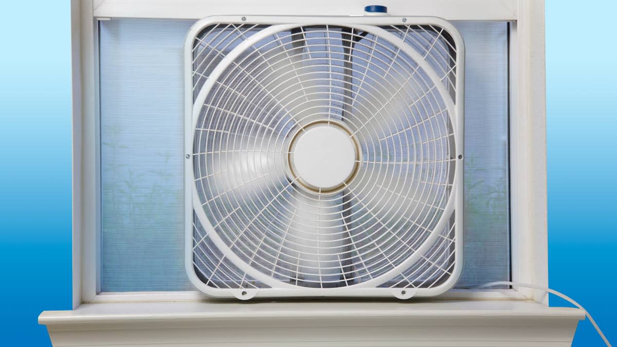 Best box fan