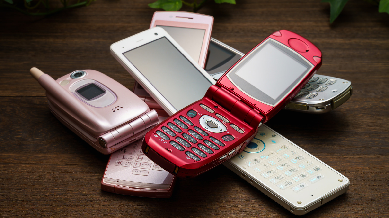 Best budget friendly flip phones