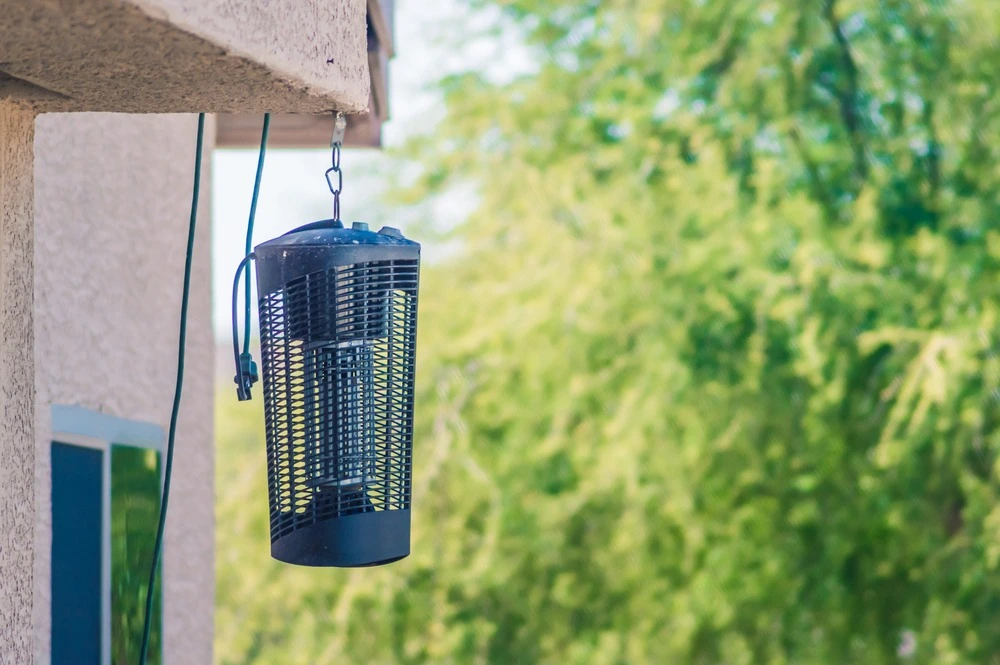 Best bug zapper