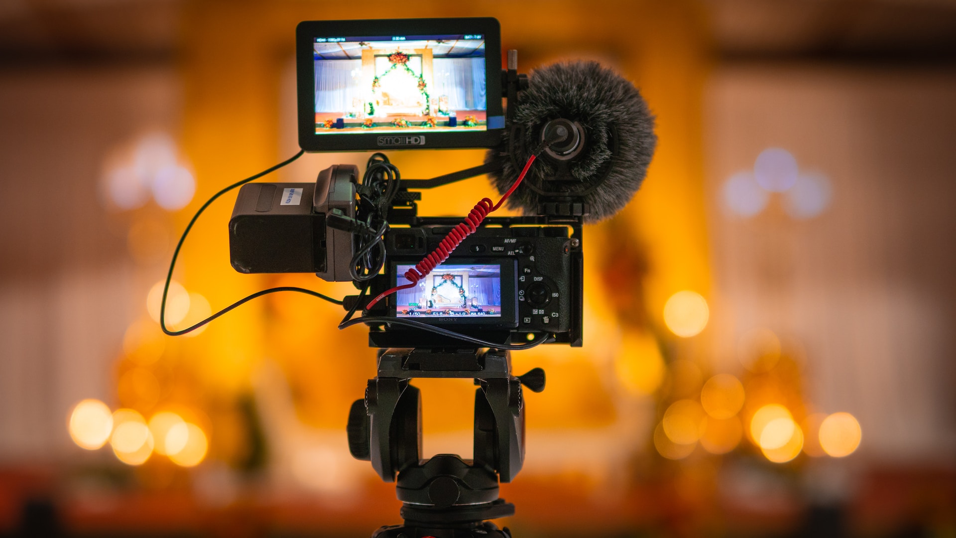 Best camera for videography