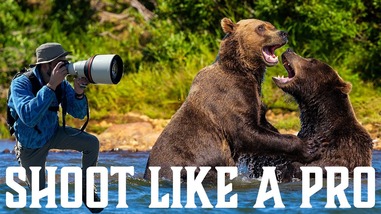 Best camera for wildlife photography