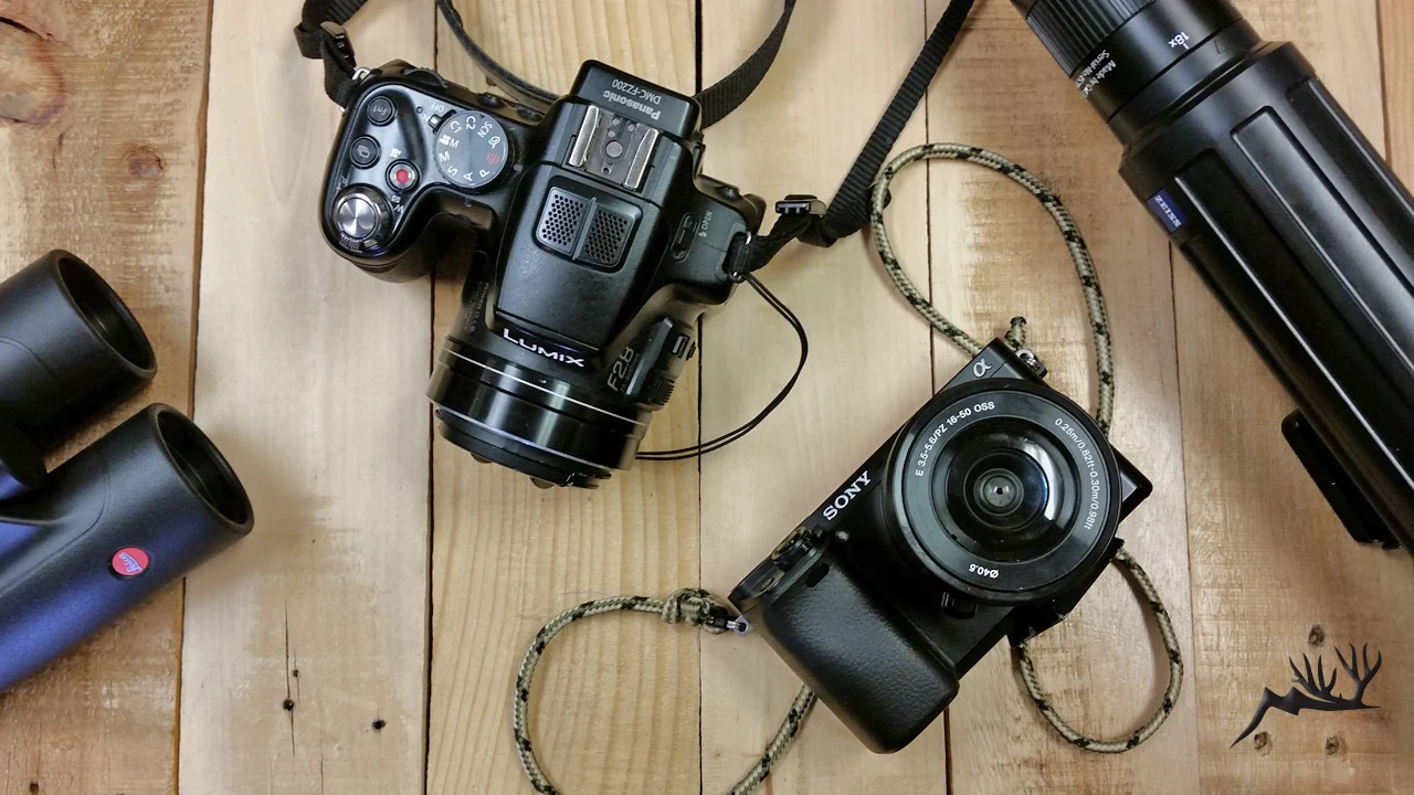 Best cameras for deer hunting
