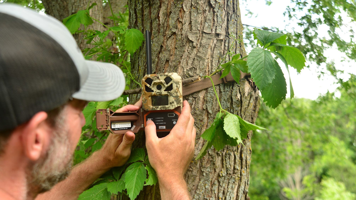 Best cameras for deer hunting