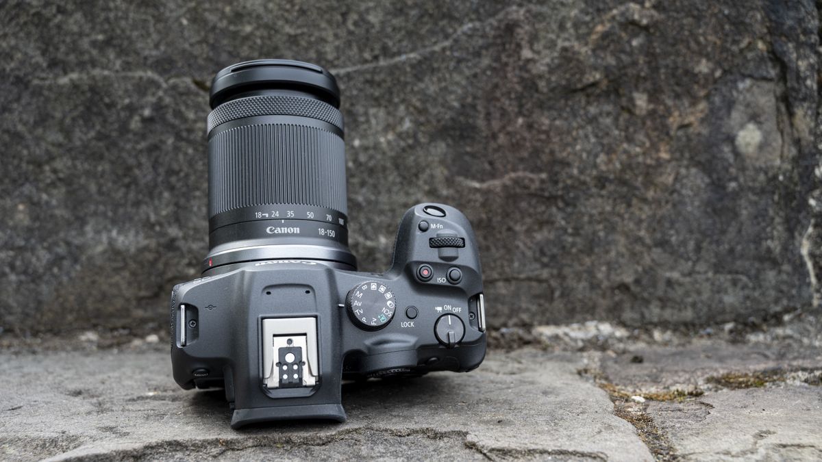 Best cameras to photograph wildlife