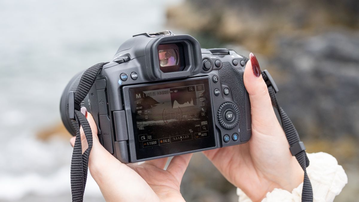 Best cameras to photograph wildlife