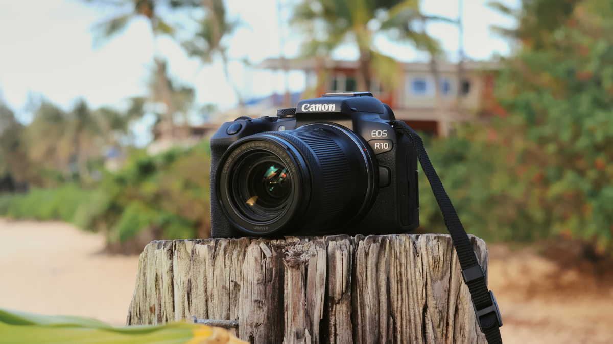 Best canon camera for beginners
