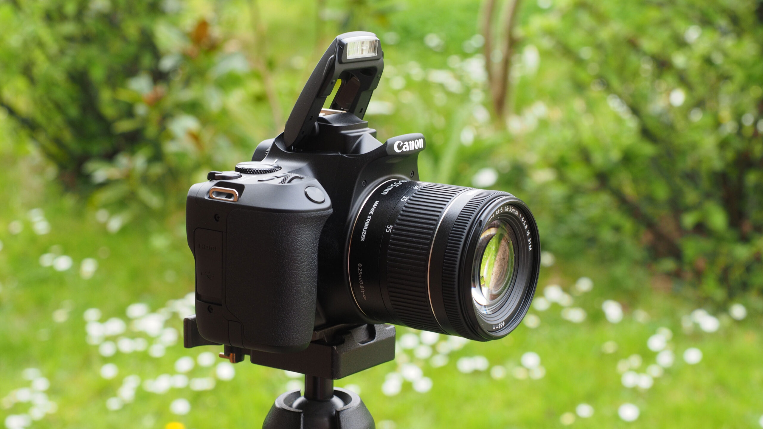 Best canon camera for beginners