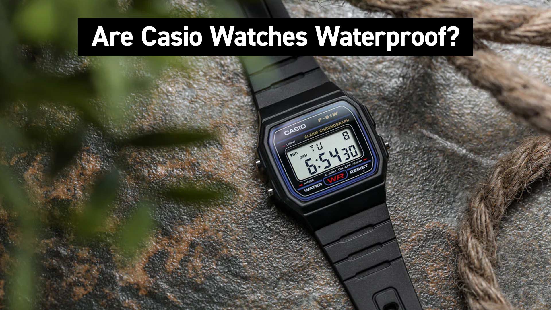 Best casio watches