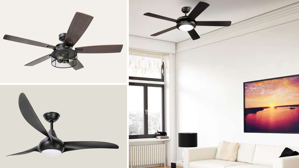 Best ceiling fan brands