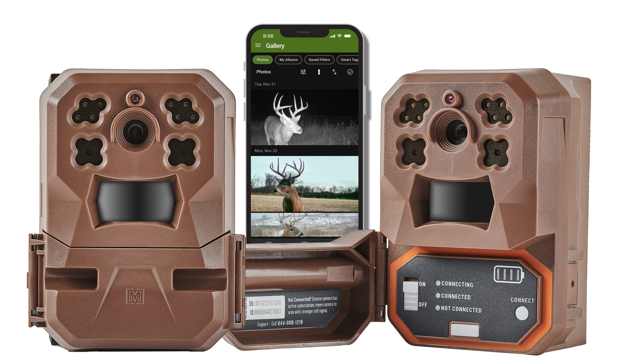 How to choose the best cellular trail camera