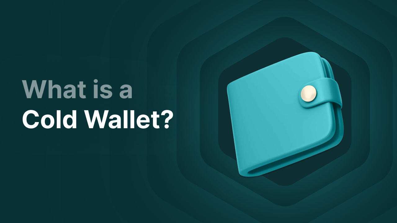 Best cold wallet