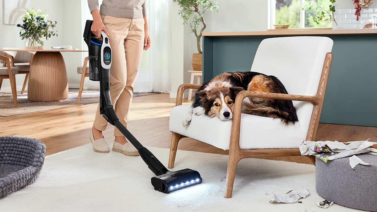 Best cordless vac