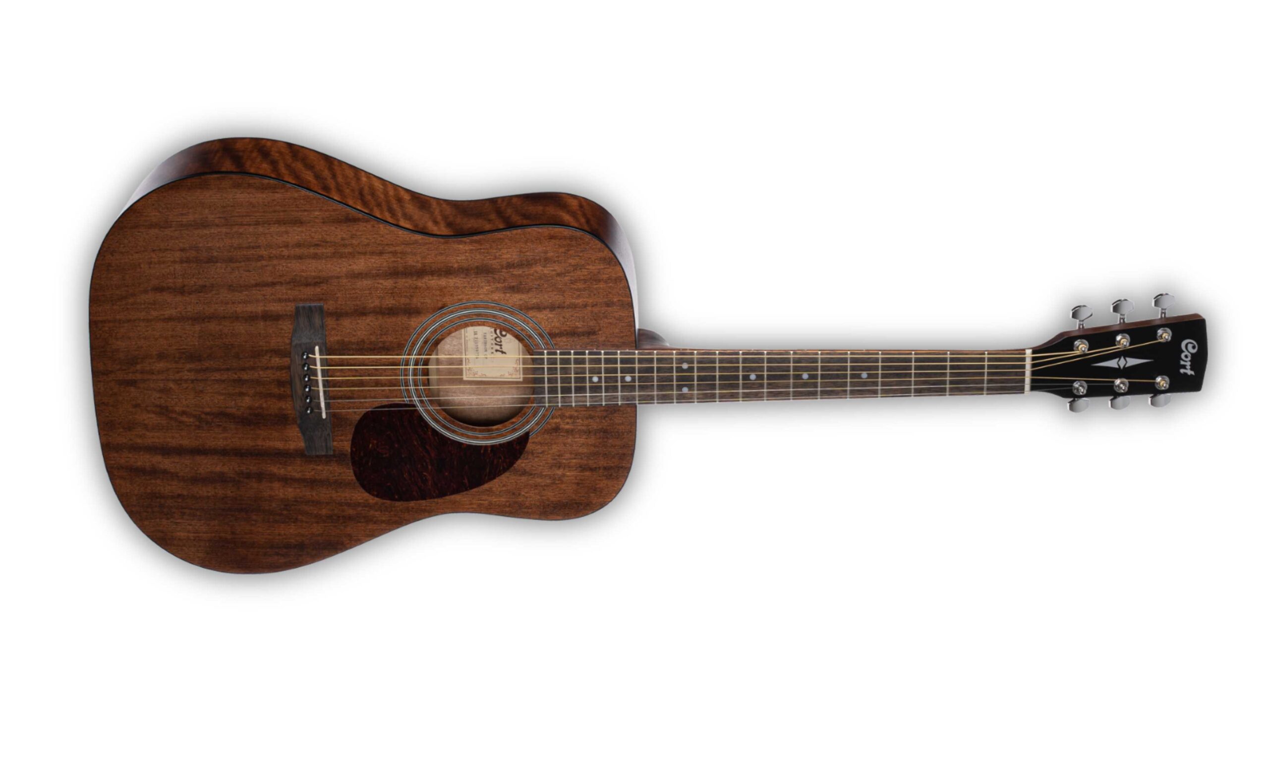 Best cort acoustic guitar