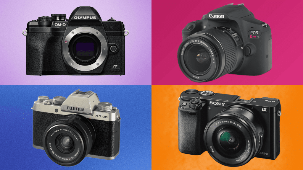 How to choose a digital camera for beginners