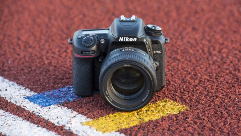 10 Best Digital Cameras for Beginners (2026)