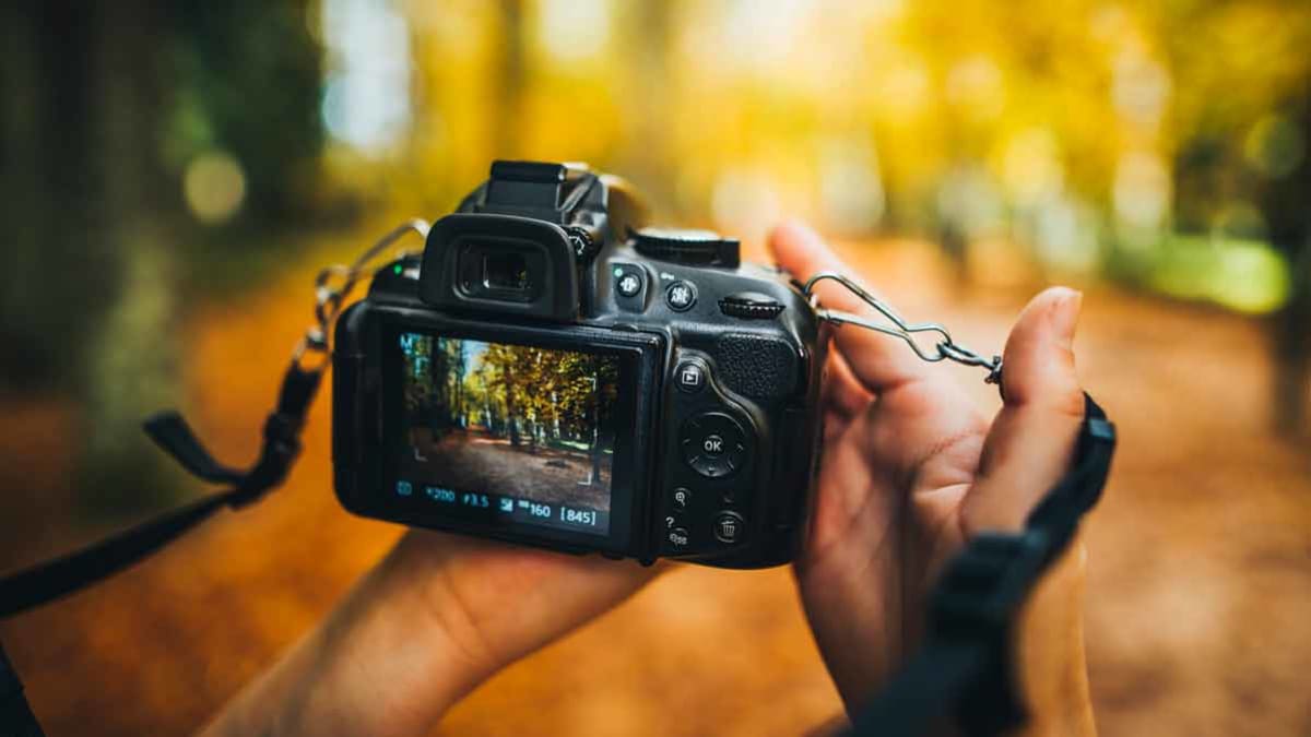 How to choose a digital camera for photography