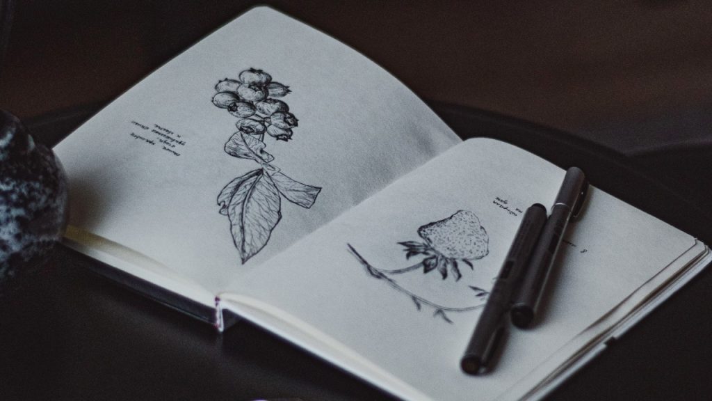 Best drawing pens for beginners