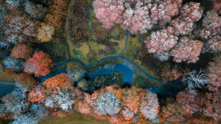 10 Best Drone Photography (2026)