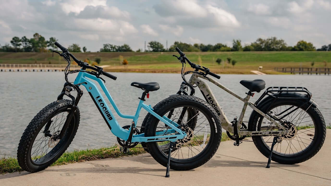 Best e bikes for adults