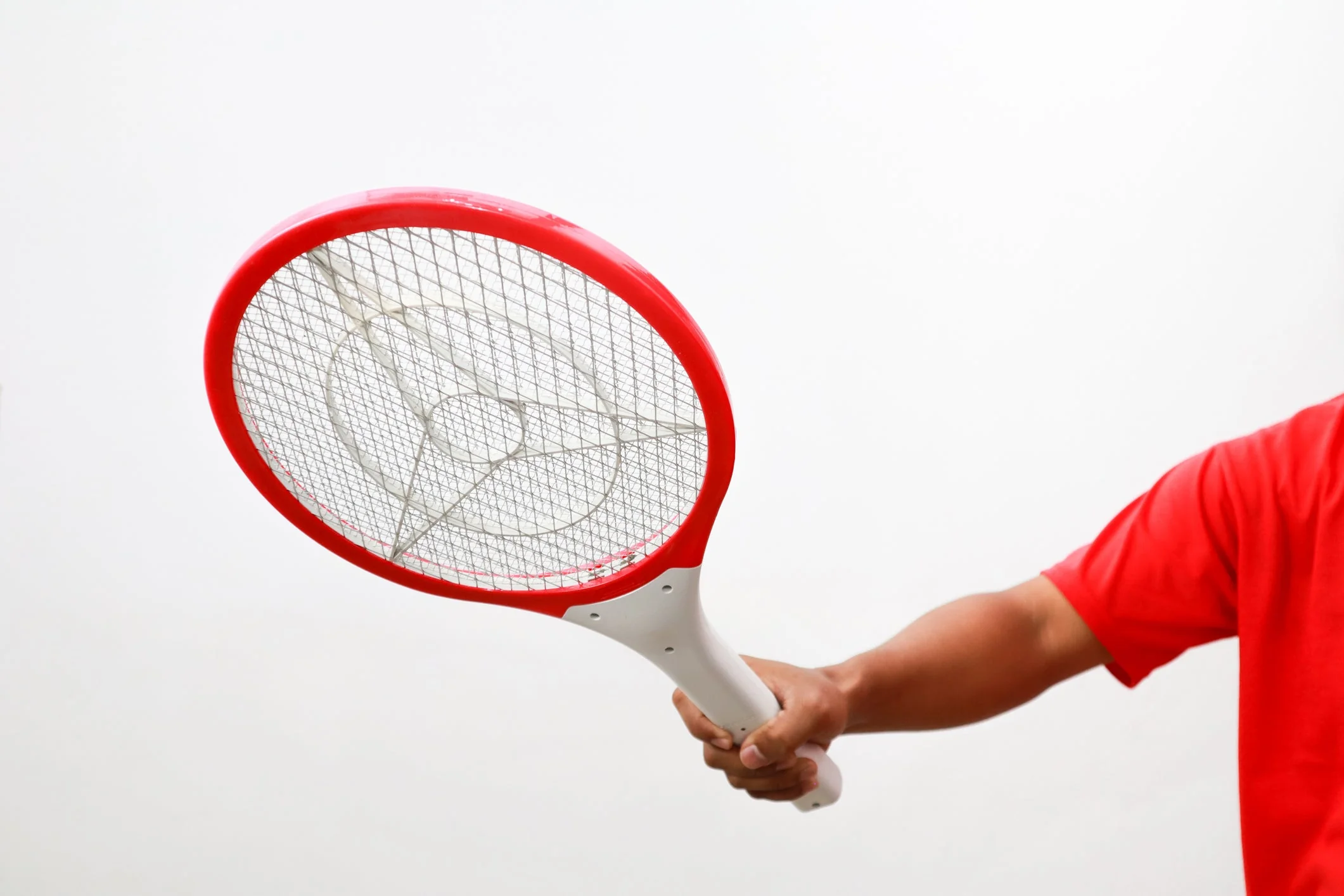 Best electric fly swatter