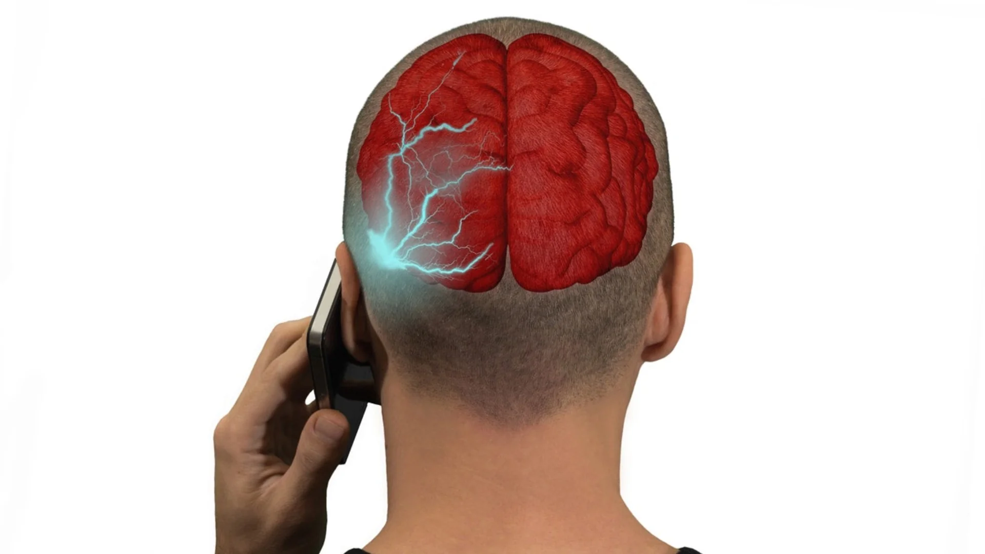 Best emf protection