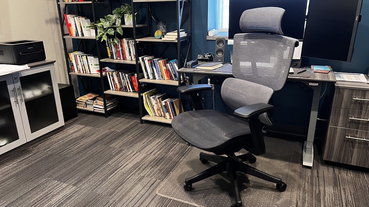 Best ergonomic office chairs