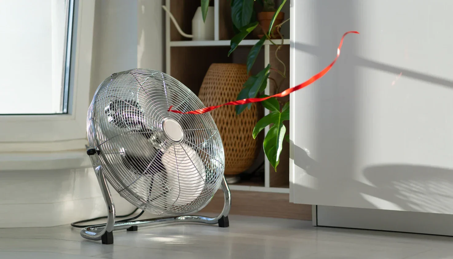 Best fans for cooling